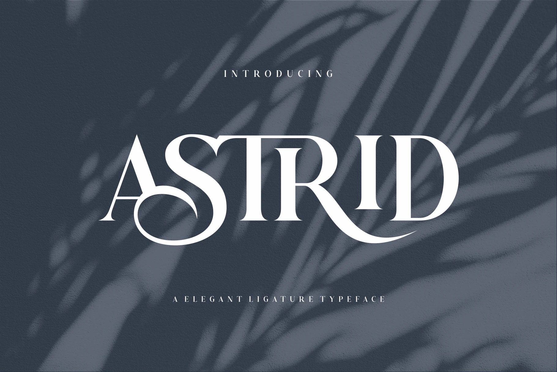 Astrid Font preview with high-contrast white serif lettering and sweeping curves