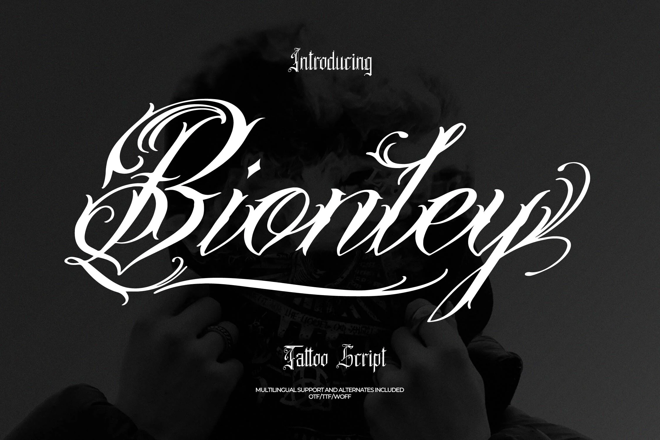 Bionley Font displayed in a high-contrast connected calligraphic script with elaborate swashes and flowing loops.