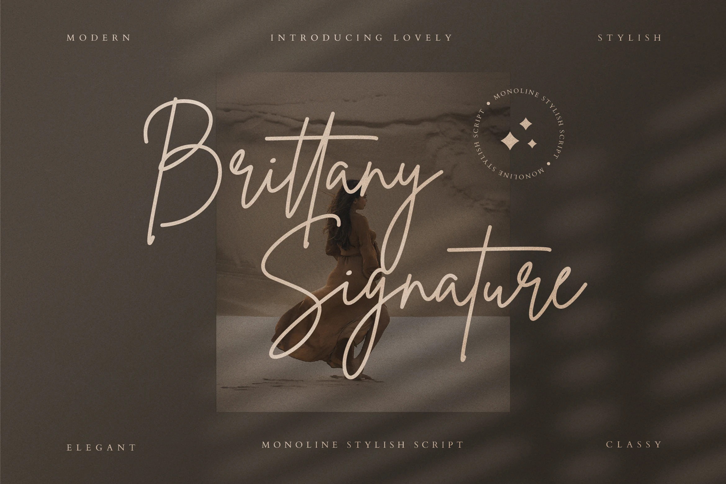 Brittany Signature Script Font preview for logo lettering
