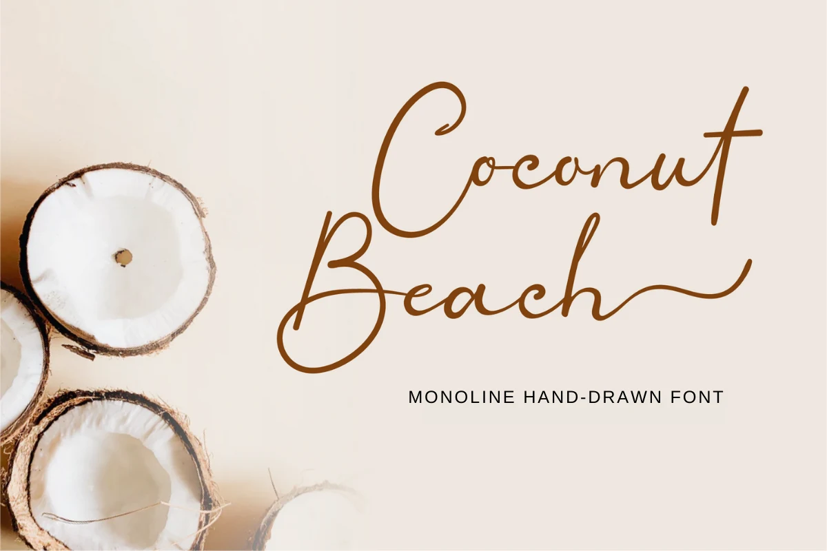 Coconut Beach Font preview with thin brown monoline script, large loops, and flowing handwritten strokes