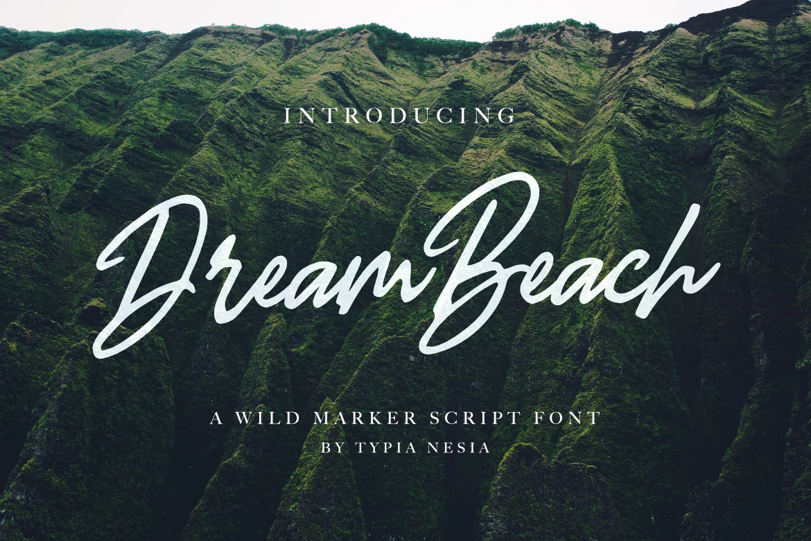 Dream Beach Font preview with bold white marker script lettering and large flowing capitals