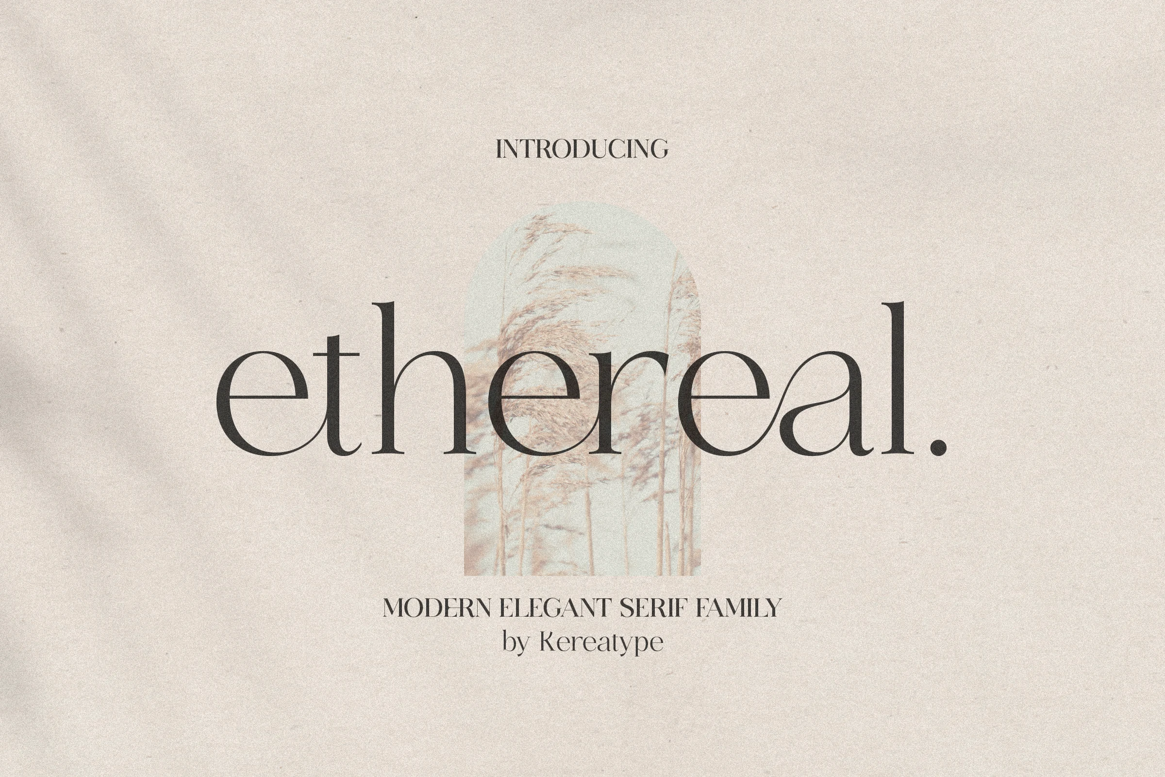 Ethereal Font preview in elegant high-contrast serif lettering for branding