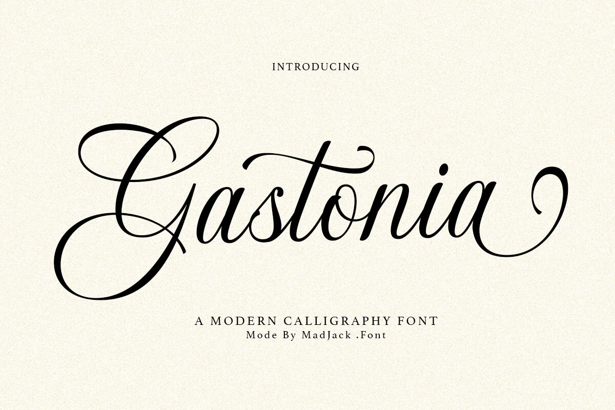 Gastonia Script Font preview with elegant black calligraphy lettering, high-contrast strokes, and large looping swashes
