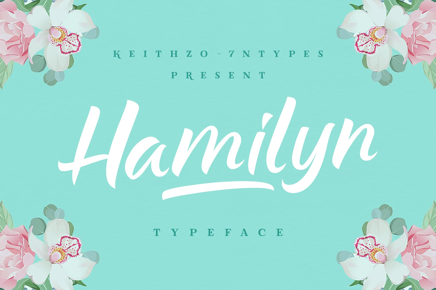 Hamilyn Font preview with smooth white brush script and a clean underline swash