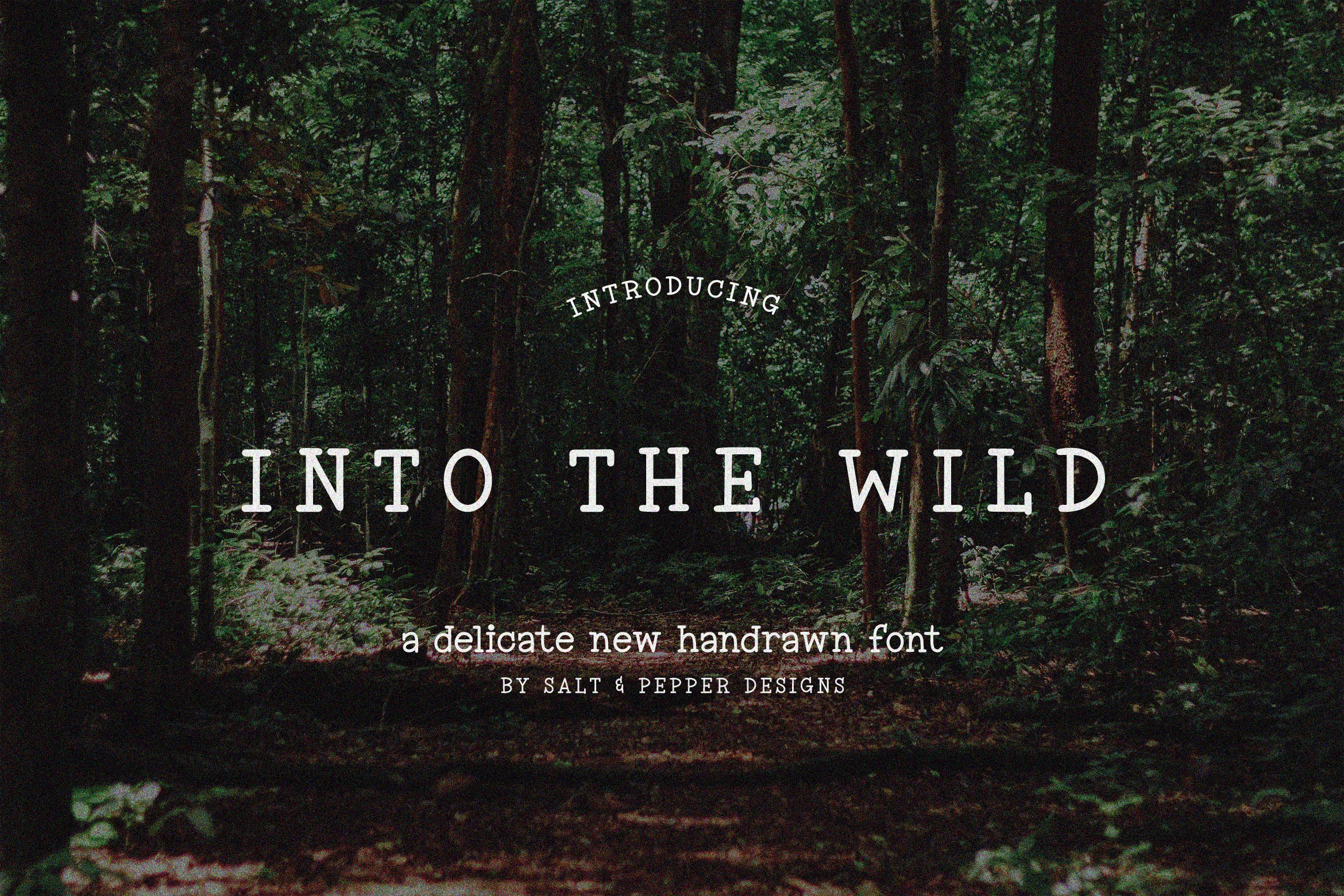 Into the Wild Font preview with vintage slab serif lettering