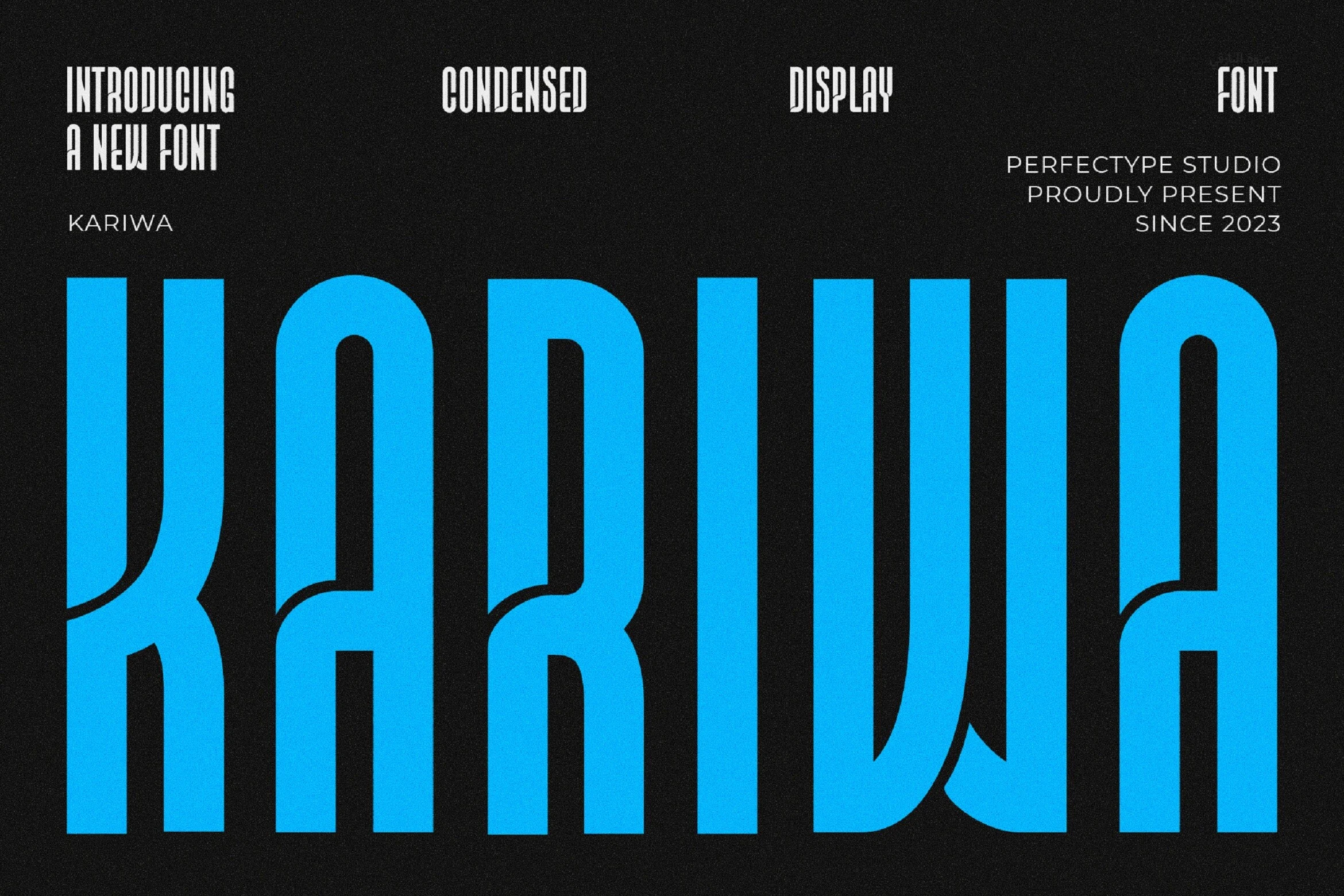 Kariwa Font shown as an ultra-condensed display typeface with heavy vertical strokes and interlocking characters.