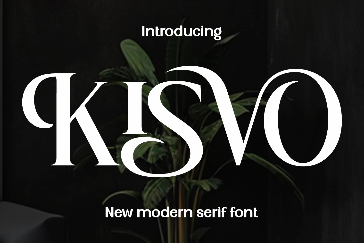 Kisvo Font preview with white modern serif lettering and dramatic curved swash details