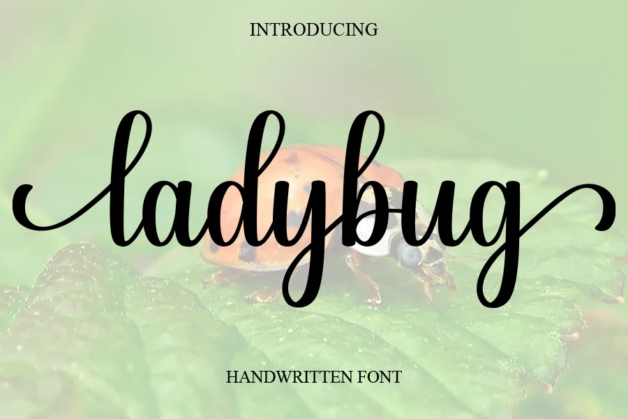 Ladybug Font preview from a Handwritten Fonts collection