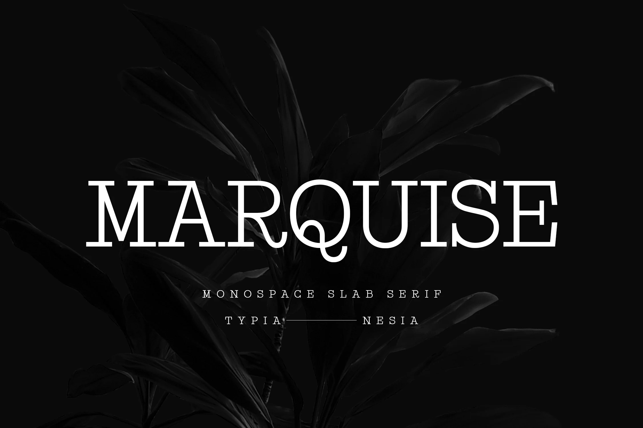 Marquise Font preview with elegant monospace serif lettering