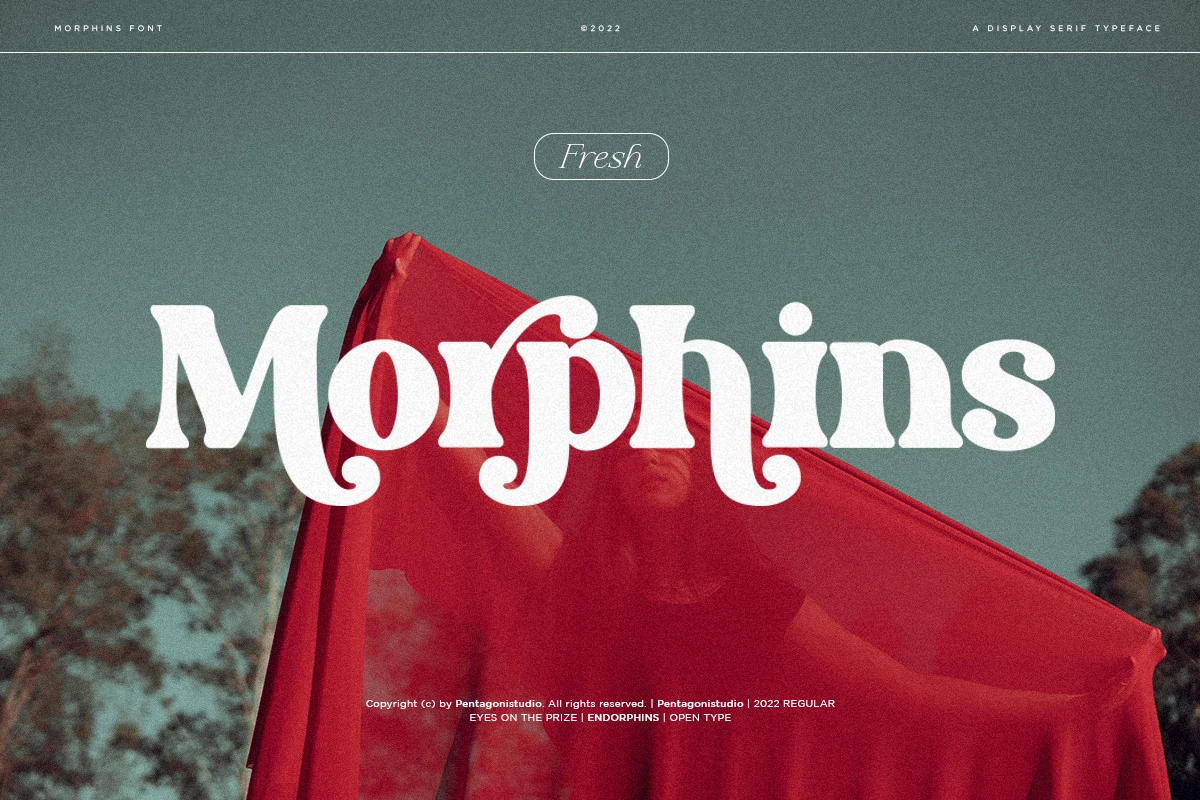 Morphins Font preview with bold white serif lettering, rounded curves, and soft retro terminals