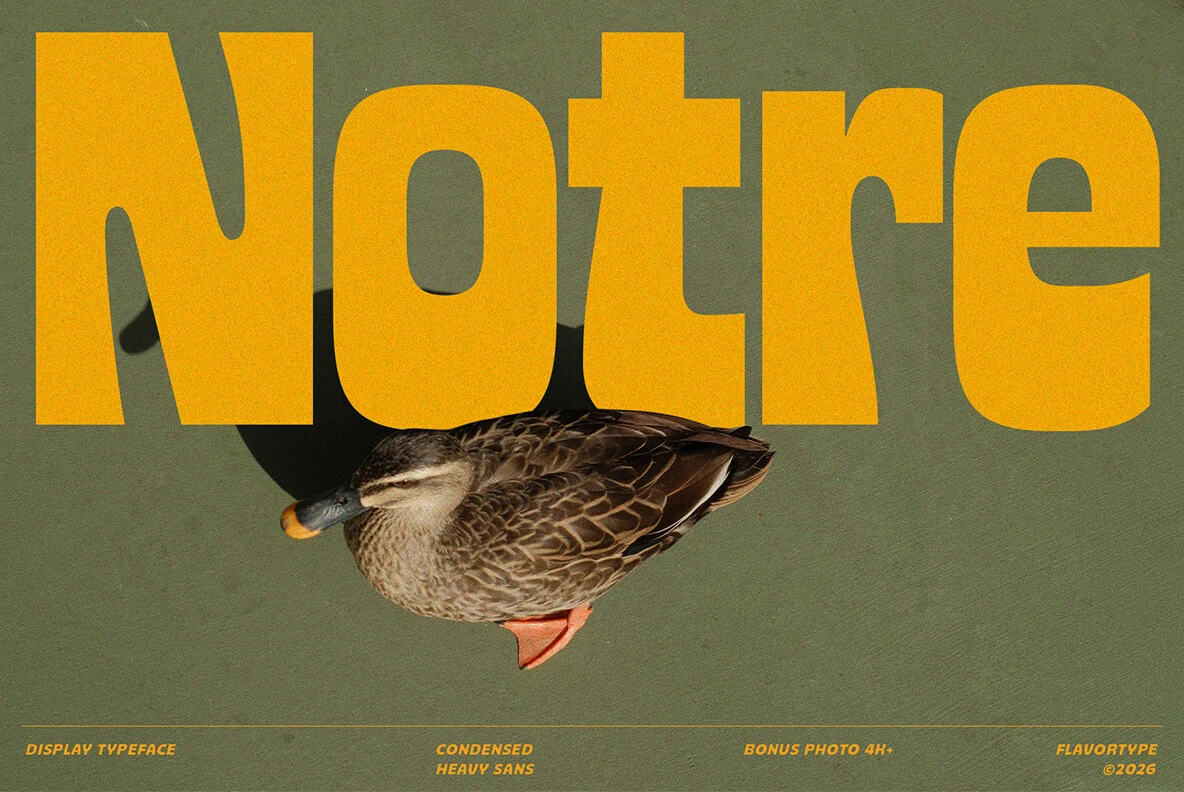Notre Font bold condensed yellow display lettering with tight spacing and rounded counters