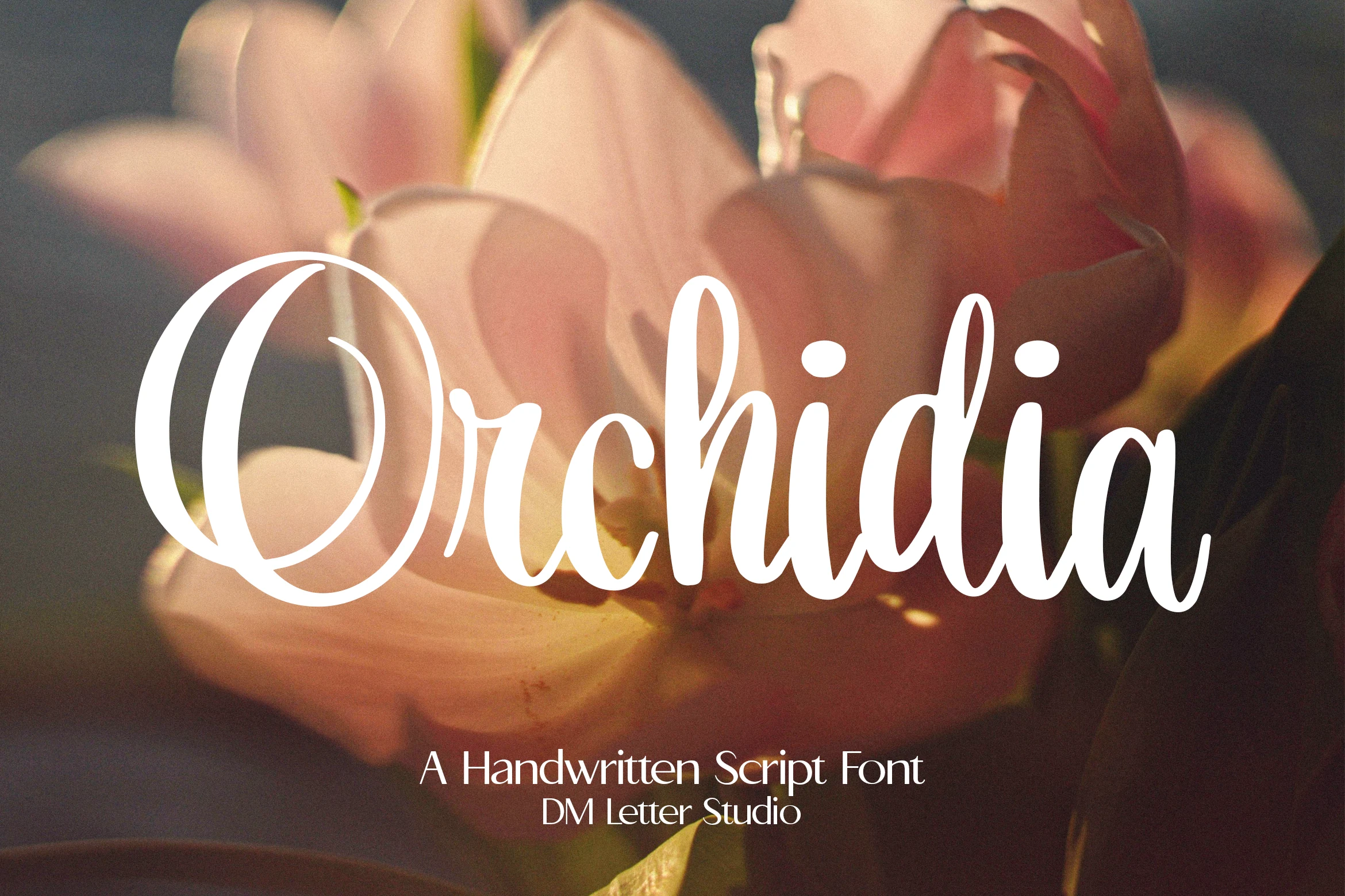 Orchidia Font preview in elegant white handwritten script with tall slender letters over a soft floral background