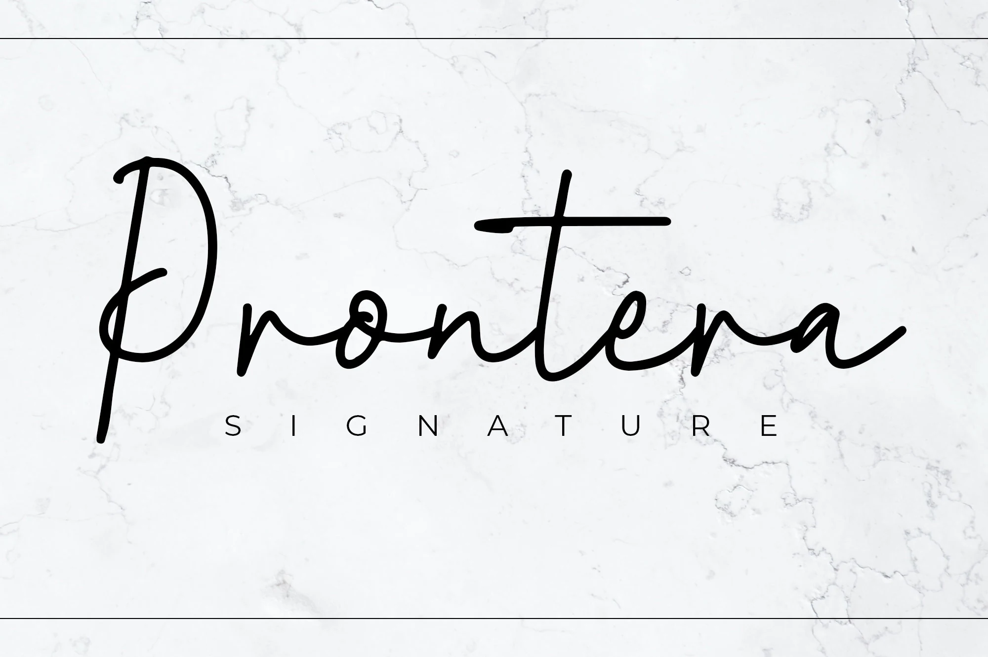 Prontera Signature Font preview with black flowing calligraphy, thin strokes, and dancing baseline