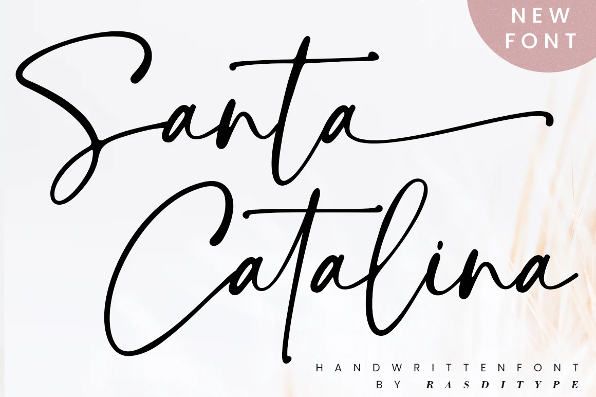 Santa Catalina Font preview in bold black handwritten script with large looping capitals