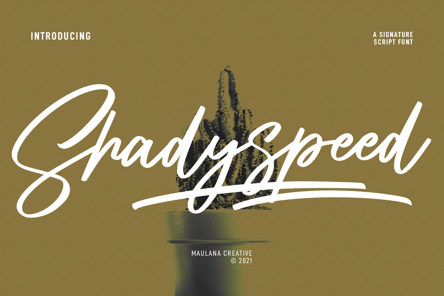 Shadyspeed Script Font showing flowing handwritten movement, softly connected letterforms, and rounded display shapes