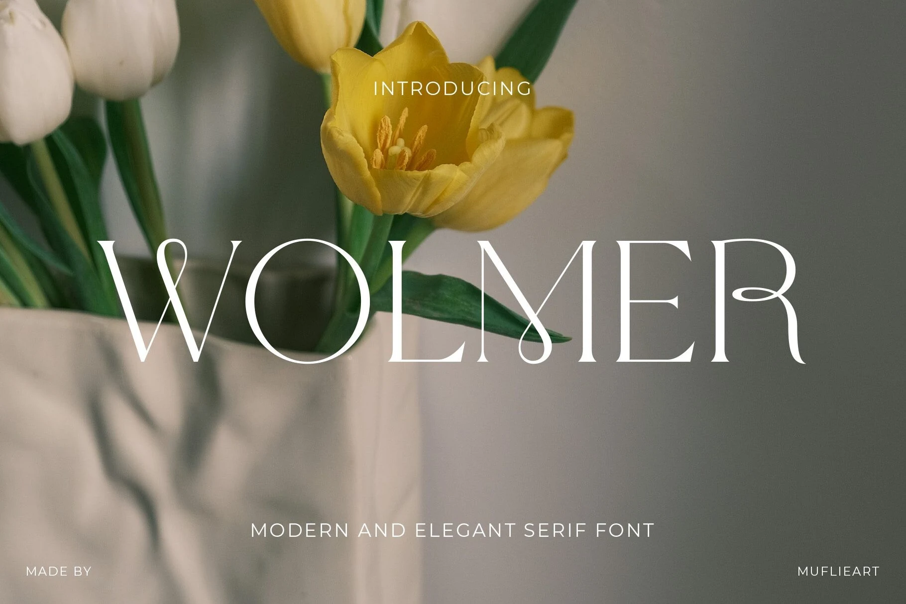 Wolmer Font preview with high-contrast white serif lettering and looped terminals for logo design